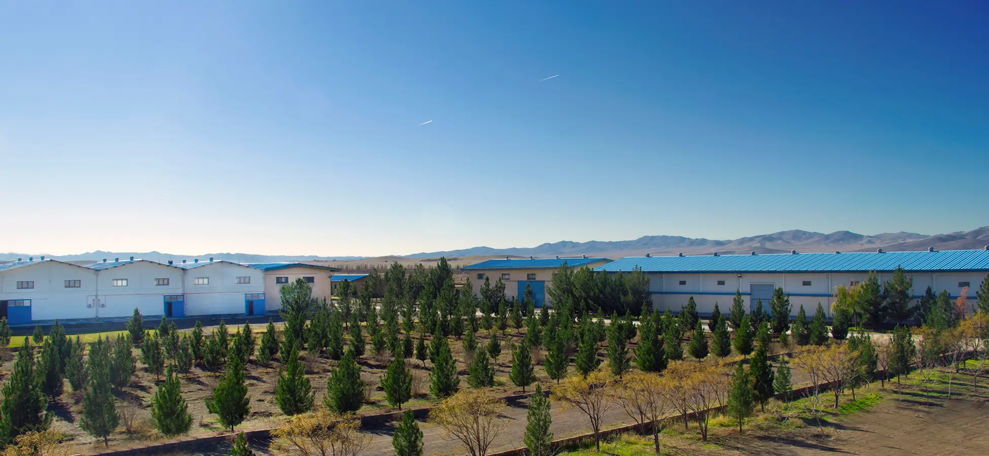 شرکت زحل شیمی