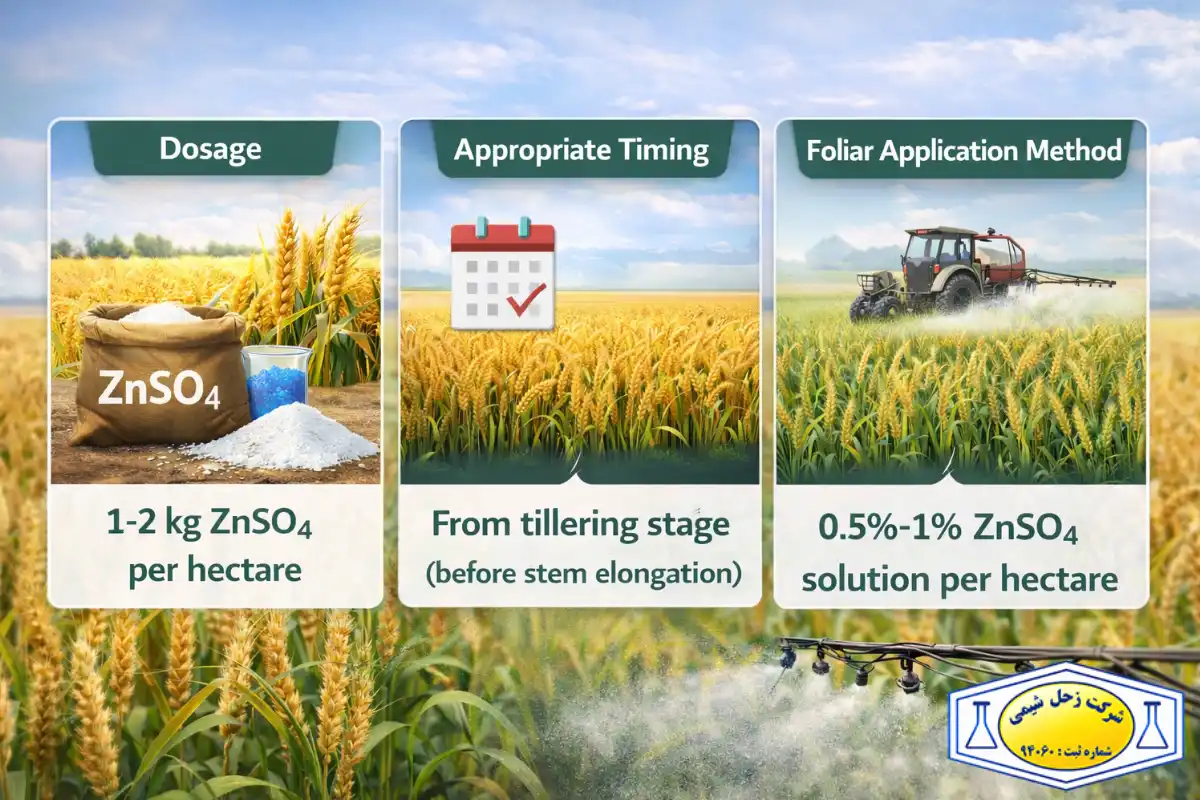 سولفات روی برای گندم